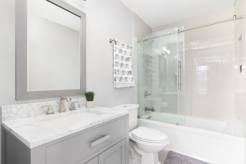 Top Tub To Shower Conversion Companies in Tempe, AZ
